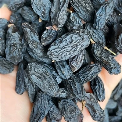Kismis Hitam Berfikir